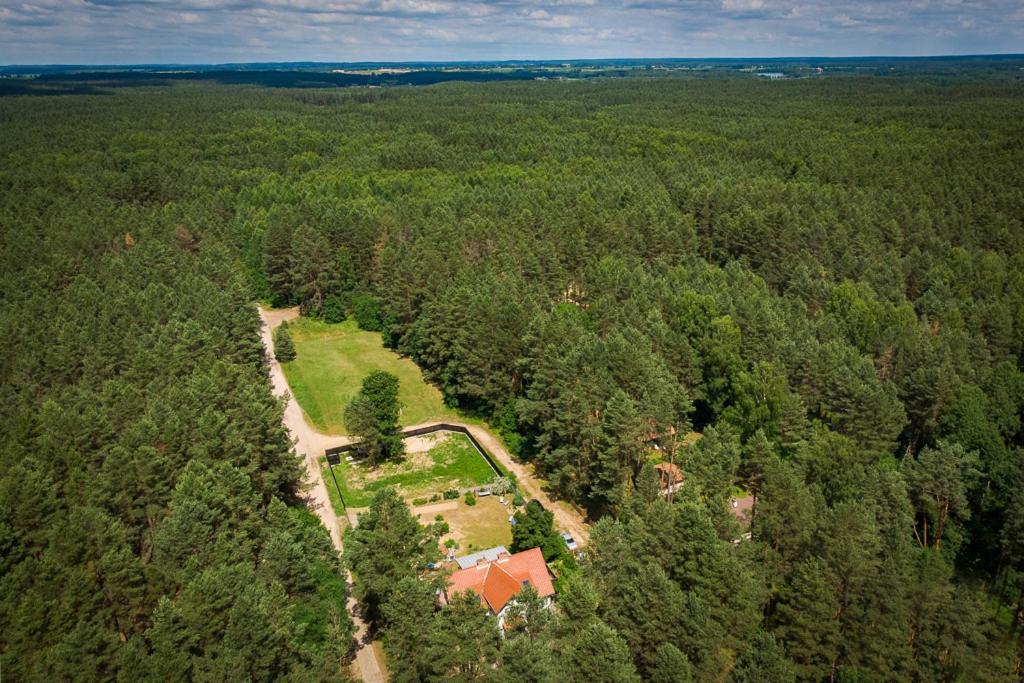 Mazurska Leśniczówka Nowy Zyzdrój Bed and Breakfast Exterior foto